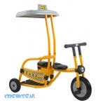 Italtrike Professioneel Pilot 300 Driewieler Taxi 1+1 Dynami, Ophalen of Verzenden, Nieuw, Overige merken