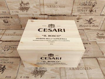 2020 Cesari, Il Bosco - Amarone della Valpolicella DOCG - 6, Verzamelen, Nieuw