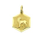 Gouden sterrenbeeld Leeuw hanger. (Hanger of bedel), Ophalen of Verzenden, Gebruikt, Goud, Overige merken