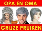 Grijze pruiken - Mega aanbod grijze pruiken, Kleding | Dames, Ophalen of Verzenden, Nieuw, Carnaval, Accessoires