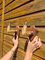 Ree Taxidermie wandmontage - Chevreuil - 11 cm - 3 cm - 13