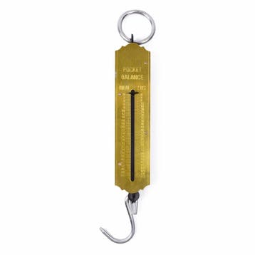 Benson Handzame pocket balance - nauwkeurig - maximaal 50..., Ophalen of Verzenden, Nieuw