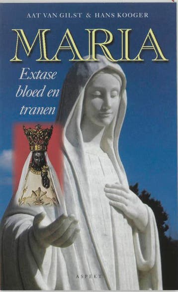 Maria / Cultuurcuriosa 9789075323276 H. Kooger, Verzenden, Gelezen, H. Kooger
