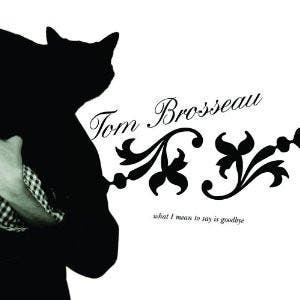 cd - Tom Brosseau - What I Mean To Say Is Goodbye, Verzenden, Zo goed als nieuw