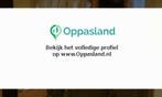 Ik ben Daisy, 17 jaar oud en ik zoek oppaswerk in Kerkrade., Diensten en Vakmensen, Oppas en Kinderopvang