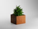 Adeqo cortenstaal plantenbak vierkant 80 x 80 x 60 cm, Minder dan 30 cm, Verzenden, Vierkant, Nieuw