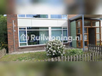 Flat in Wijhe zoekt woning in Zwolle, Overijssel