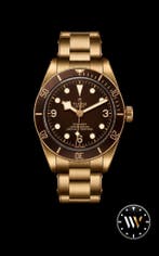 Tudor Black Bay 58 Bronze M79012M-001 Nieuw, Sieraden, Tassen en Uiterlijk, Horloges | Heren, Overige materialen, Polshorloge