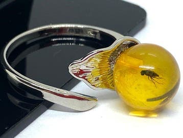 Unieke Baltisch amber ring met insect - ronde kraal - oude