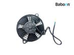 Koelfan Motor Honda PES 150 2006-2010 (PES150 KF09), Motoren, Onderdelen | Honda, Verzenden, Gebruikt