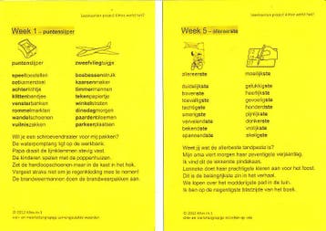 Alles-in-1 Leeskaarten Project 4 Hoe werkt het?, Boeken, Verzenden, Nieuw
