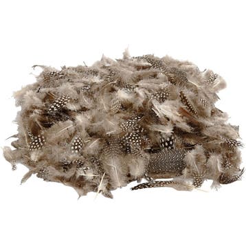Veren van parelhoen, naturel, 50 gr/ 1 doos, Nieuw