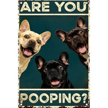 Metalen wandbord kip kat hond wc toilet Are you pooping ezel, Verzenden, Nieuw, Boerderijdier, Overige typen