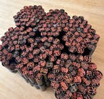 Hanko - Speelgoed - 2000-2010 - Japan, Antiek en Kunst