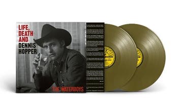 lp nieuw - the waterboys - LIFE DEATH &amp; DENNIS HOPPER..., Verzenden, Zo goed als nieuw, Overige formaten
