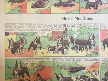Mr and Mrs Beans (Buster Beans) - Bucky and his pals - 23, Nieuw