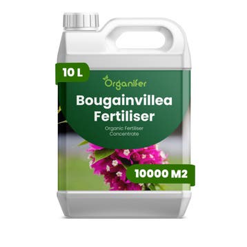 Vloeibare meststof voor bougainvillea - 10 liter, Verzenden, Mest