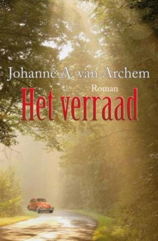 Het verraad / Spiegelserie 9789059775459, Boeken, Streekboeken en Streekromans, Gelezen, Verzenden