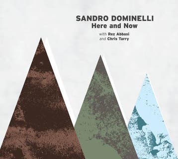 Sandro Dominelli - Here and Now, Ophalen of Verzenden, Gebruikt