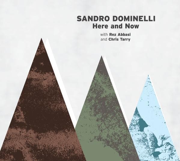 Sandro Dominelli - Here and Now, Cd's en Dvd's, Cd's | Pop, Gebruikt, Ophalen of Verzenden
