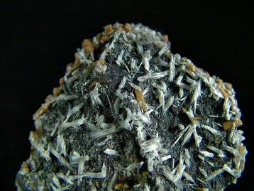 CW1928 Zeldzame Bultfonteinite met Olmiite Kristallen op