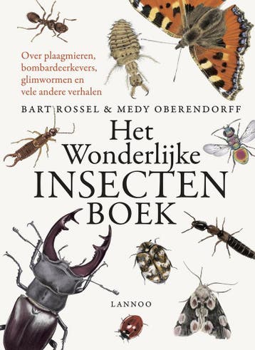 Het wonderlijke insectenboek - Bart Rossel - 9789401441261 -, Verzenden, Nieuw