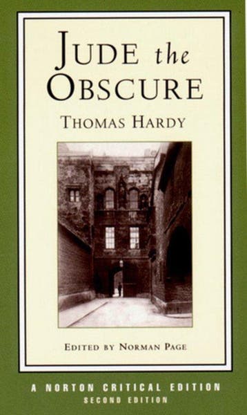 Jude the Obscure - Thomas Hardy 9780393972788, Boeken, Verzenden, Gelezen, Thomas Hardy