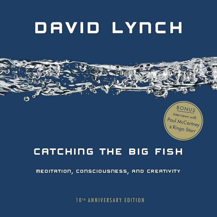 Catching the Big Fish - 10th Anniversary Edition - David, Boeken, Taal | Engels, Zo goed als nieuw, Verzenden