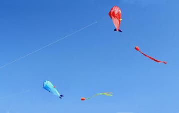 Grote Vlieger Dolfijn - Duurzaam Nylon Vliegplezier voor Vol, Verzenden, Nieuw