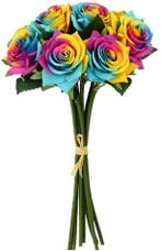 Zijden Roos Regenboog Fresh Touch Diamond Bundel 35 cm, Ophalen of Verzenden, Nieuw