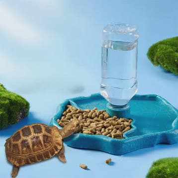 Automatische Reptielen Voerbak en Waterschaal - Afneembaar &, Dieren en Toebehoren