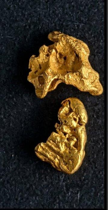 Pompoenpitten uit Australië Goud nuggets- 0.63 g - (2)