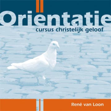 Oriëntatie - René van Loon 9789033819902, Verzenden, Zo goed als nieuw, René van Loon