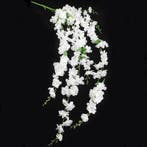 Delphinium Ivory Large Trailing Bloemtak 134 cm, Ophalen of Verzenden, Nieuw