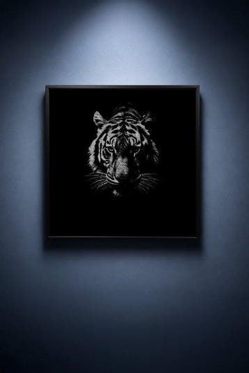 Tijs Dragtsma (1992) - Half Light Half Fury