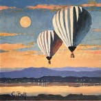Claudio Rolfi (1960) - il magnifico volo