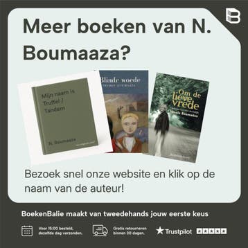 Aan de andere kant van het water / Davidsfonds/Infodok-jeugd, Boeken, Verzenden, Zo goed als nieuw, N. Boumaaza