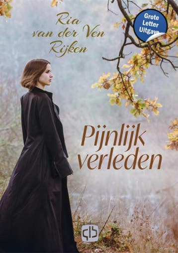 Pijnlijk verleden / Grote letter bibliotheek / 3839, Verzenden, Zo goed als nieuw, Ria van der Ven-Rijken