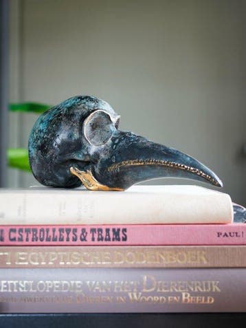 sculptuur, NO RESERVE PRICE - Patinated Sculpture Bird Head