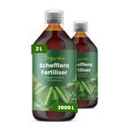 vloeibare Schefflera meststof - Set 2x1 liter, Verzenden, Mest