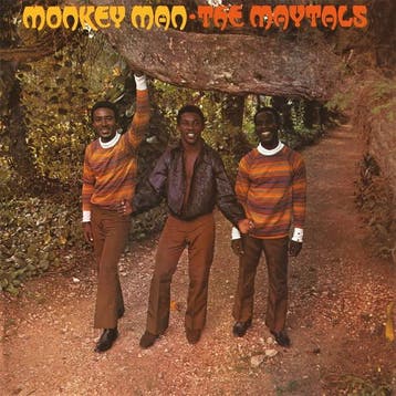 lp nieuw - maytals - MONKEY MAN (nieuw), Verzenden, Zo goed als nieuw, Overige formaten