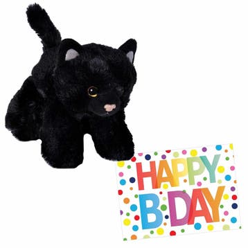 Zwarte pluche kat knuffel - 18 cm - met verjaardagskaart, Verzenden, Nieuw