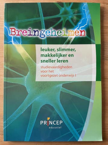Breingeheimen - Jitske Schulte 9789079815074, Verzenden, Gelezen, Jitske Schulte