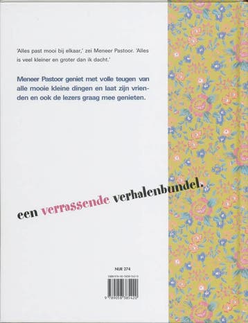 Een mooie verrassing - D. Casteleyn 9789058385420, Boeken, Kinderboeken | Kleuters, Verzenden, Zo goed als nieuw, D. Casteleyn