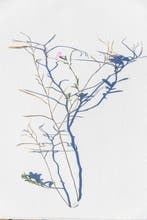 Susana Galbis - Fragility is not a shadow