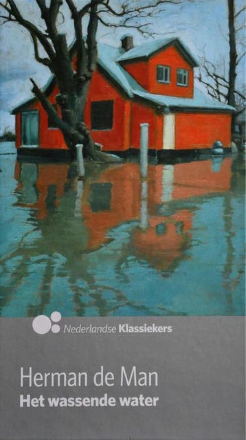 Het wassende water - AD Nederlandse klassiekers, Boeken, Verzenden, Zo goed als nieuw, Herman de Man