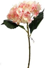 Hortensia Hydrangea Peach Zijdenbloem Single 46 cm, Ophalen of Verzenden, Nieuw