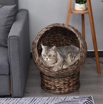 Rotan Kattenmand – Verhoogd Kattenbed met Zacht Kussen, Dieren en Toebehoren, Verzenden, Nieuw