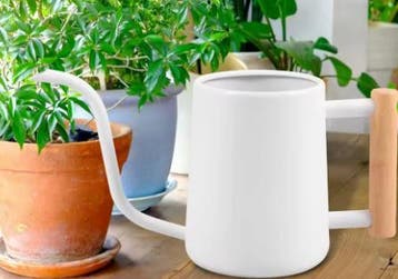 900ml RVS Gieter Houten Handvat Lange Uitloop Tuin Kamerplan, Tuin en Terras, Gieters, Verzenden, Nieuw