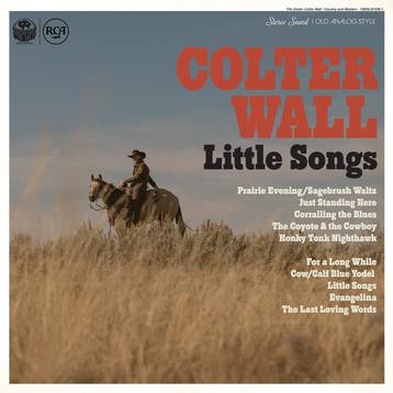 lp nieuw - colter wall - LITTLE SONGS (nieuw), Verzenden, Zo goed als nieuw, Overige formaten